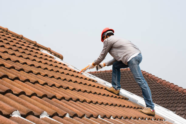 Best Chimney Flashing Repair  in Sparta, GA